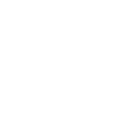 Audit & Assurance Services